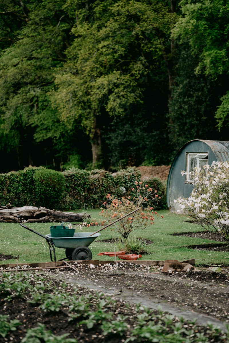 Garden landscaping